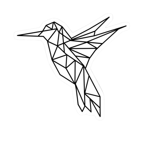 imagen geométrica colibri